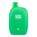Flum Cool Mint FLUM Pebble