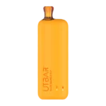 FLUM ALOE MANGO ICY UT BAR