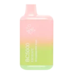 EBCREATE STRAWBERRY KIWI BC5000