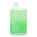 EBCREATE MIAMI MINT EB BC5000