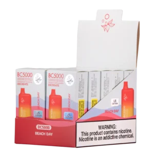 EBCREATE BEACH DAY BC5000