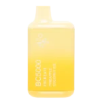 EBCREATE PINEAPPLE COCONUT ICE BC5000